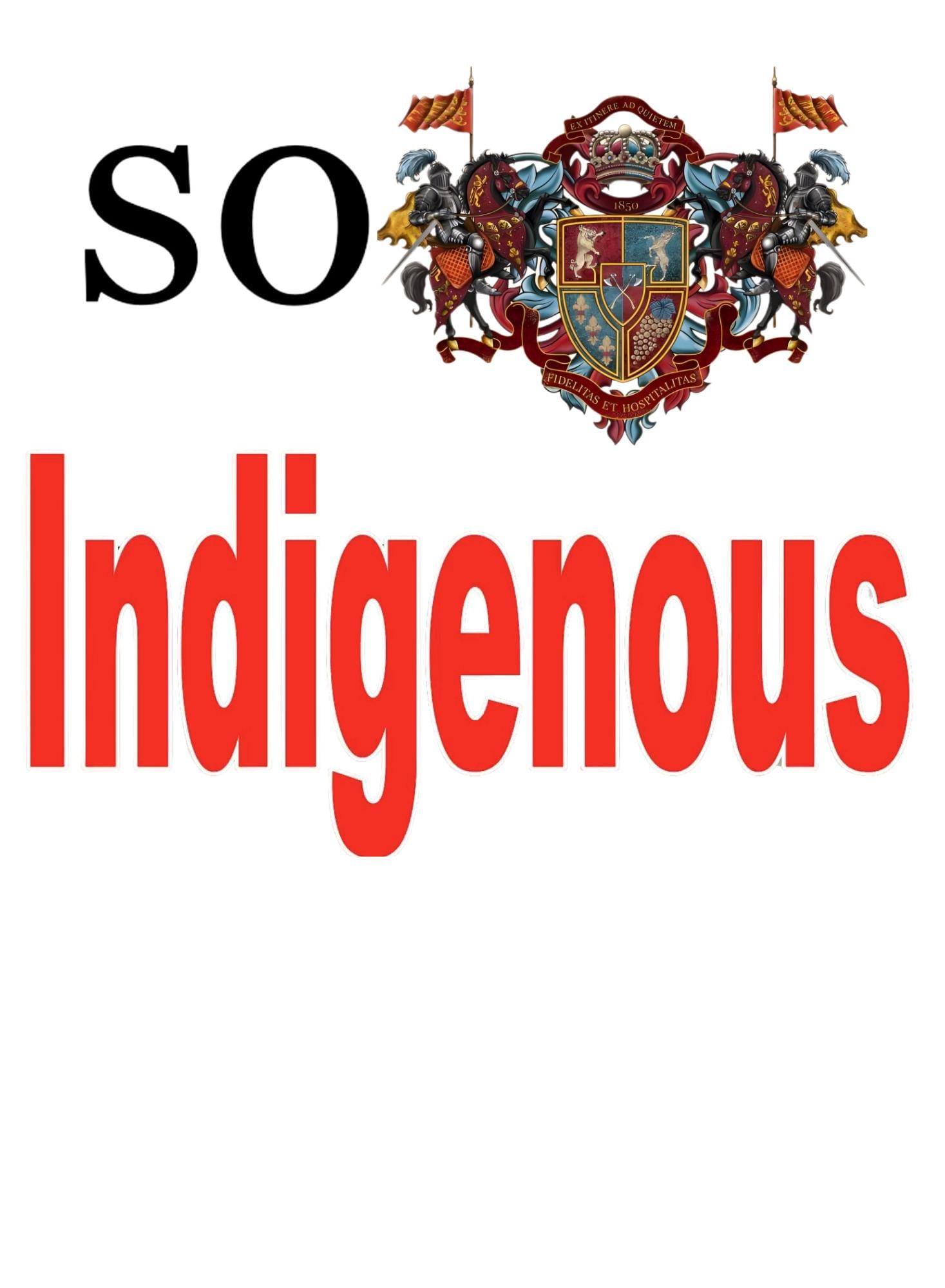 So Indigenous T-Shirt | Native American Pride Apparel | Indigenous Made Design | Cultural Pride Gift | Indigenous Creator Tee
