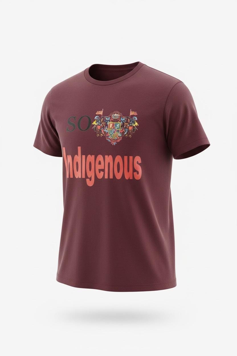 So Indigenous T-Shirt | Native American Pride Apparel | Indigenous Made Design | Cultural Pride Gift | Indigenous Creator Tee